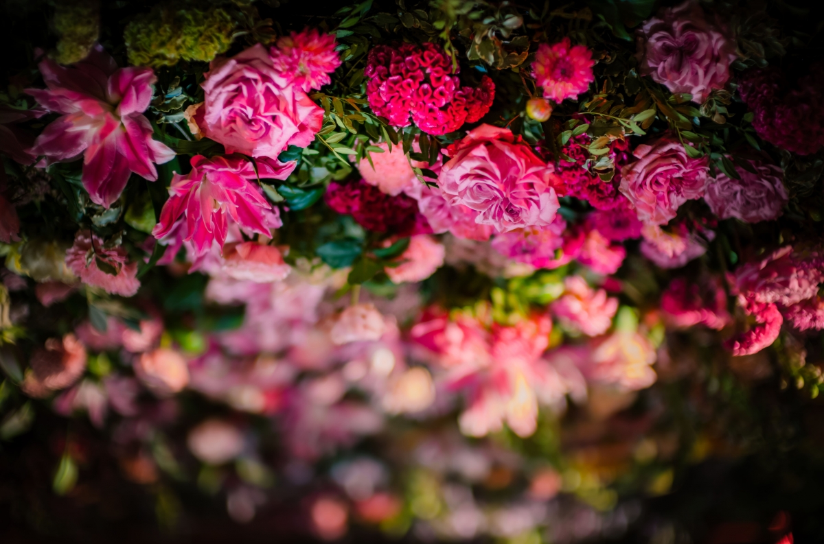 Flower wall Grand Theatre Geneva
