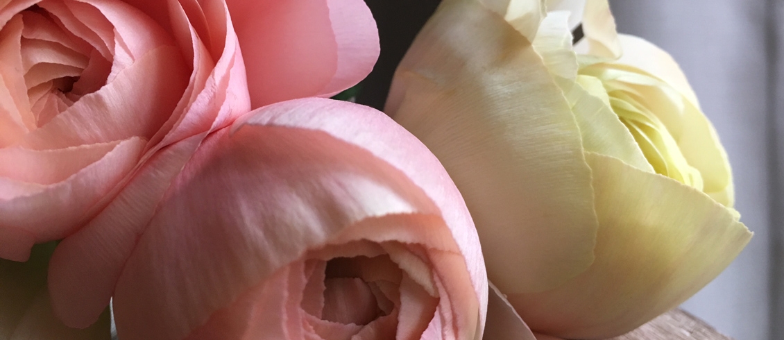 Fleuriste aux Créations romantiques et naturelles pour des bouquets d'exception sur Genève et aux alentours