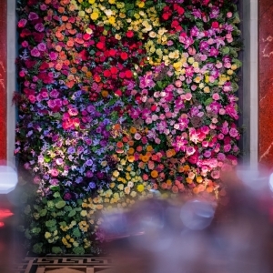 Mur floral au Grand Theâtre de Genève